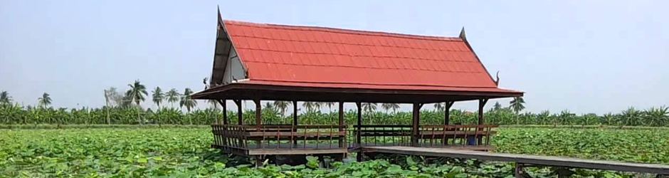 "ชุดโครงการชุดโครงการเมืองยั่งยืน "